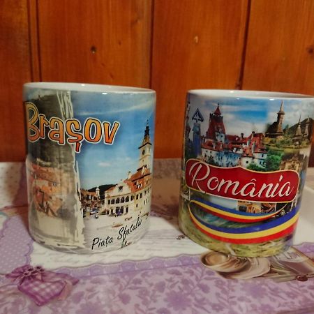 Katy'S Studio Apartment Brasov Ngoại thất bức ảnh